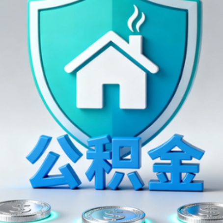 儋州公积金代办行业观察：谁在提供专业服务？