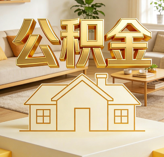 儋州公积金代办服务升级：从“跑腿”到“智办”，专业服务成新刚需